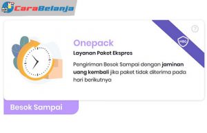 √ Apa Itu Lion Parcel : Jenis Layanan, Fitur & Keuntungan - Carabelanja.id