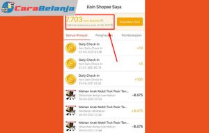 √ Koin Shopee Hilang ? Ini Penyebab & Dapatkan - Carabelanja.id